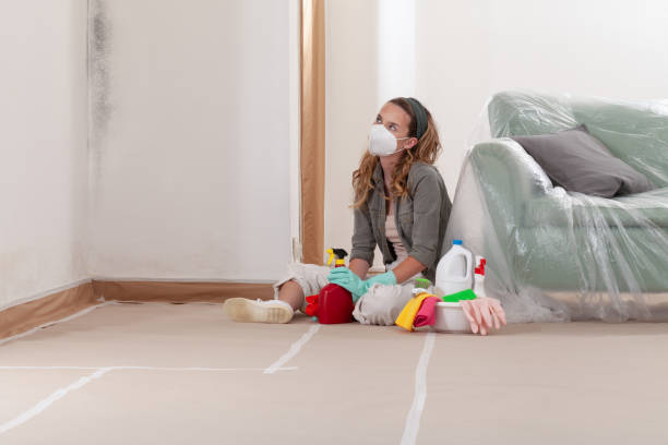 Reliable Mold Remediation contractor in Paulsboro, NJ by WQB Mold Removal